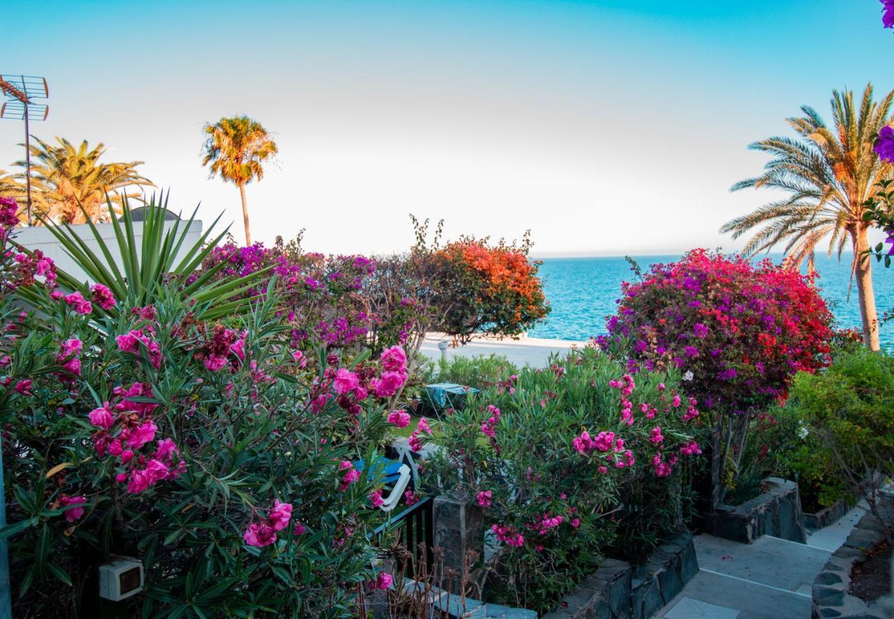 Apartamento En Flores I Maspalomas (Gran Canaria)